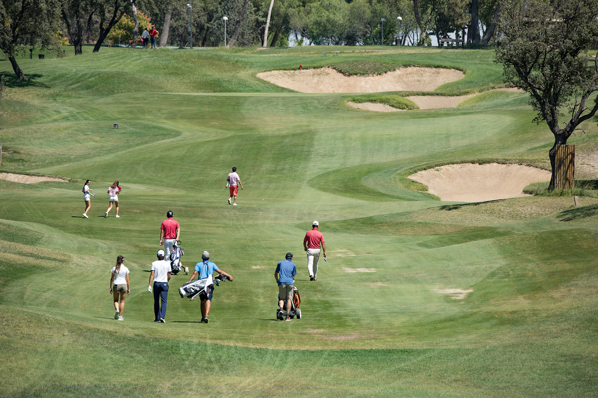 Mantenimiento de campos de golf y horarios de apertura en abril | CCVM