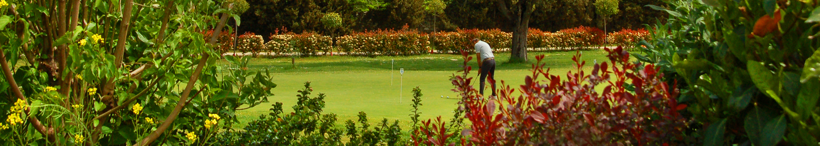 Imágen campo de golf con mucha gente disfrutando de un día soleado