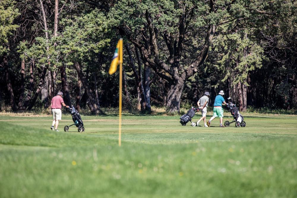 Golf en el Club de Campo Villa de Madrid. Foto: Miguel Ros