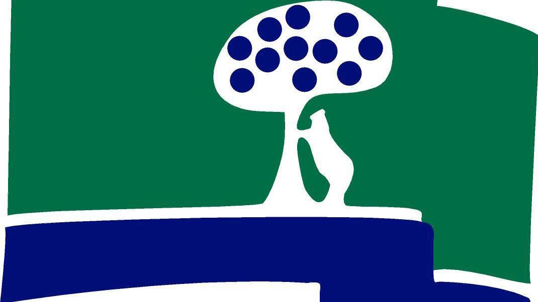 Logo CCVM