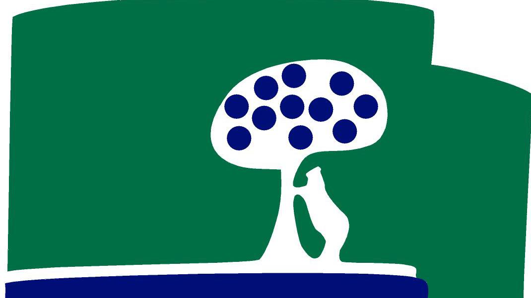 Logo CCVM