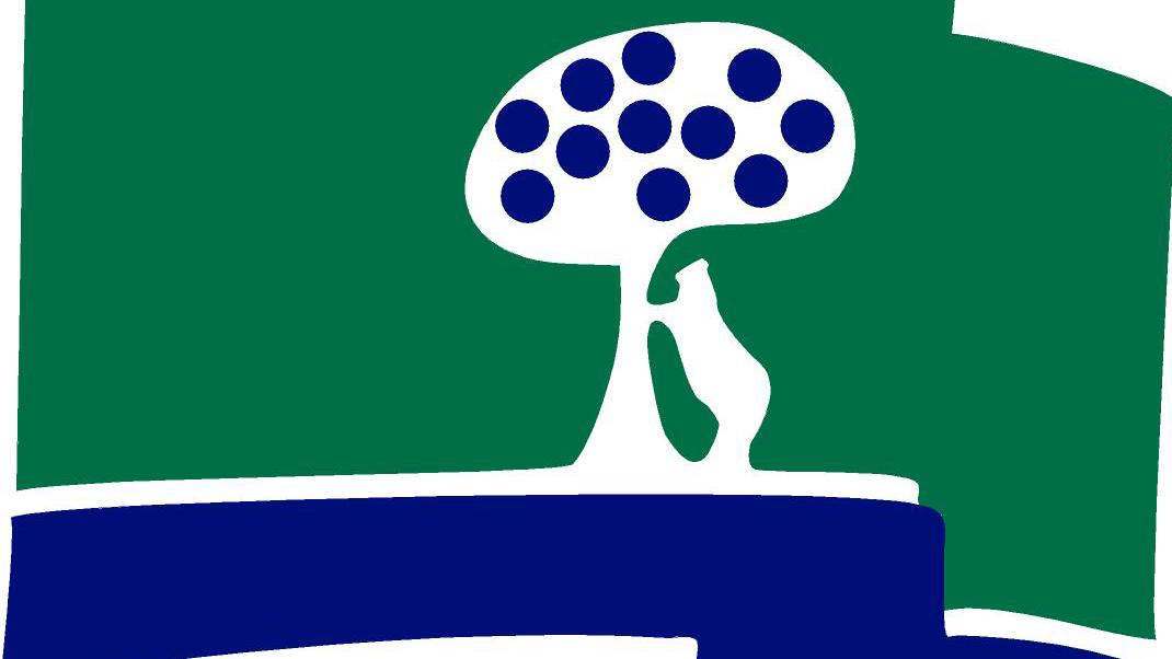 Logo CCVM