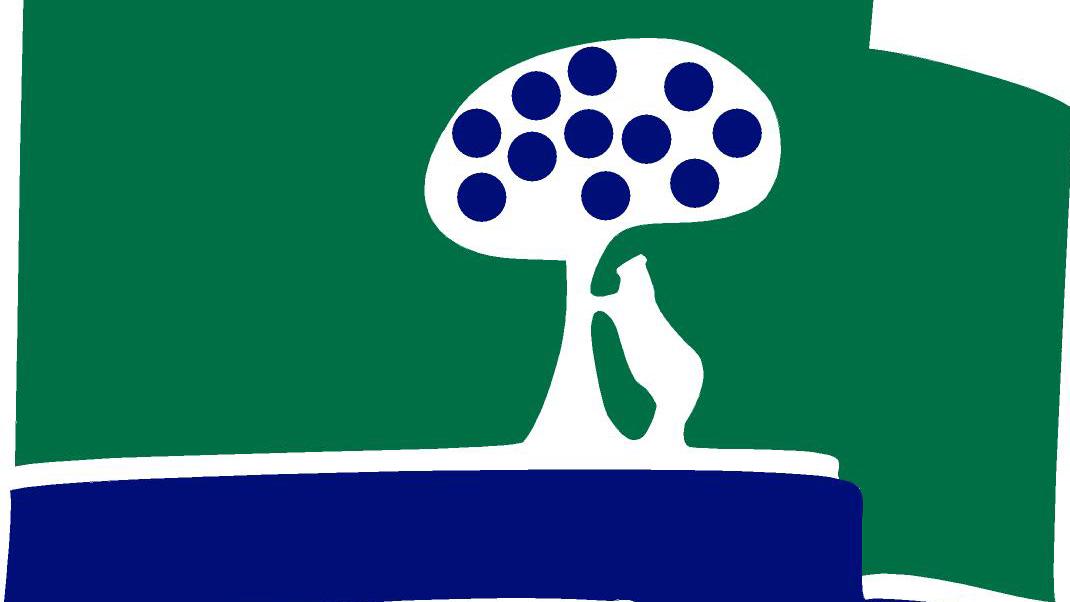 Logo CCVM