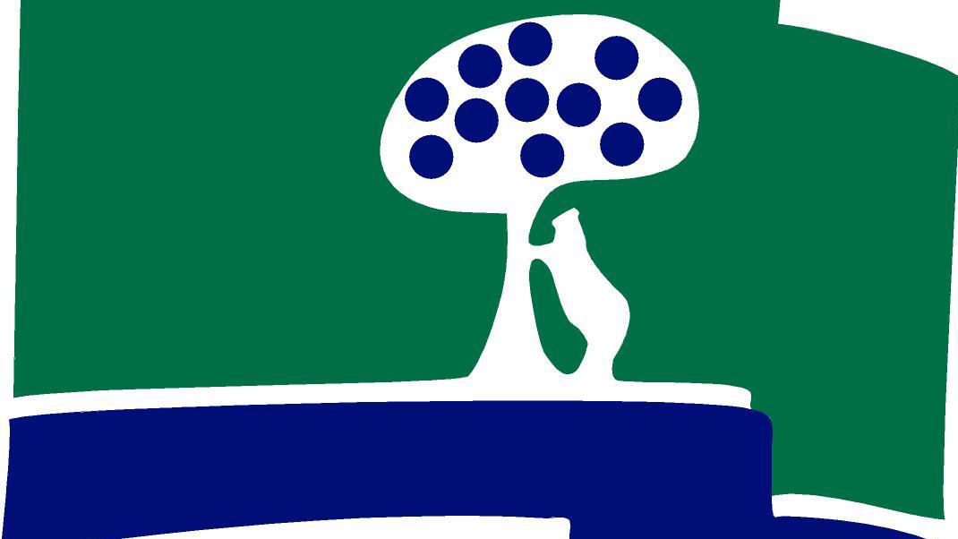 Logo CCVM