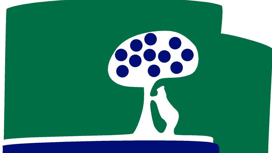 Logo CCVM
