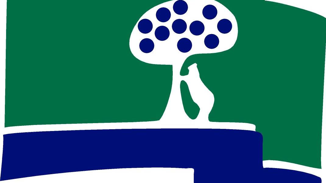 ccvm