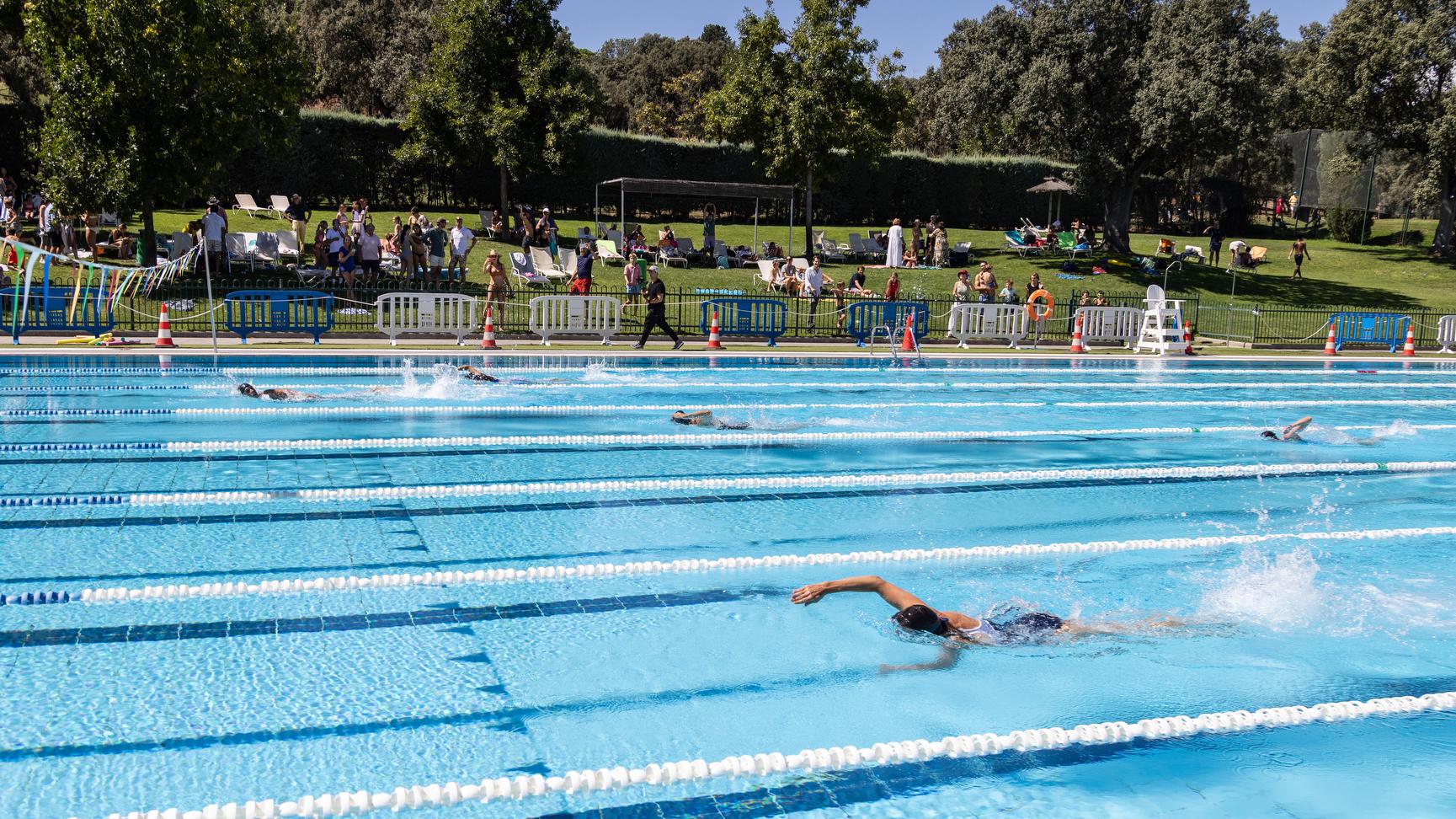 Nadadores compitiendo en el Campeonato Social de Natación 2024. Foto: Miguel Ángel Ros / RCCVM