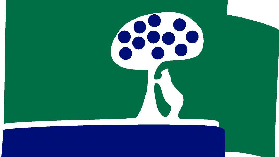 Bandera del Club de Campo Villa de Madrid.