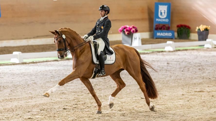 Un binomio, durante una prueba de doma clásica en el Real Club de Campo Villa de Madrid. Foto: Miguel Ángel Ros / RCCVM