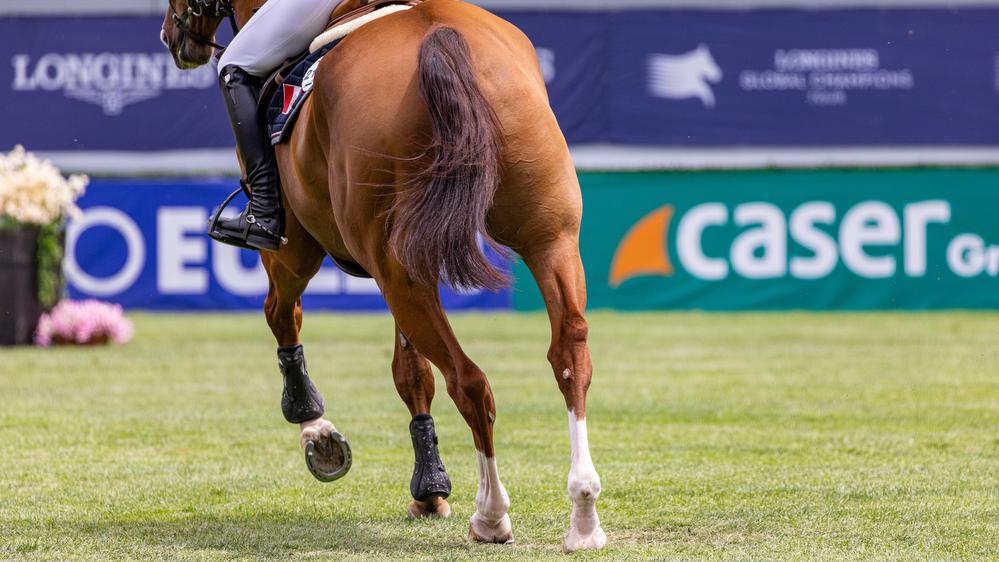 Detalle de las patas de un caballo durante una competición en la Pista Verde del Club.