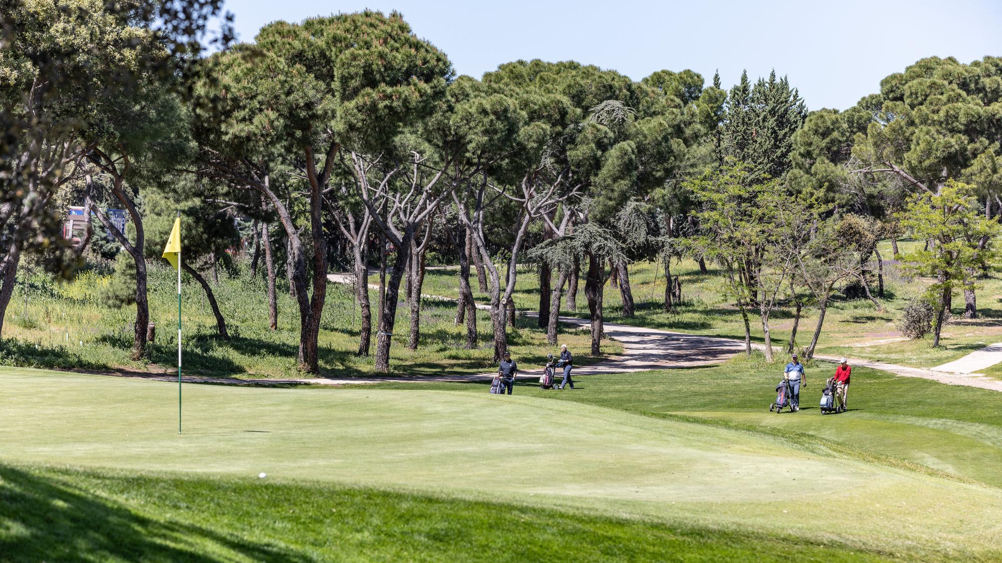 Hoyo 11 del Recorrido Negro del Real Club de Campo Villa de Madrid. Foto: Miguel Ángel Ros / RCCVM
