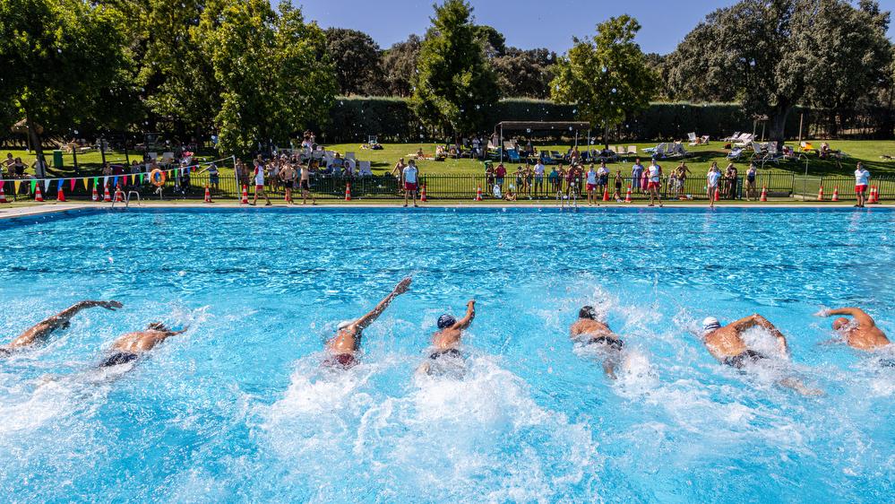 Nadadores compitiendo durante la edición 2025 del Campeonato Social de Natación. Foto: Miguel Ángel Ros / RCCVM