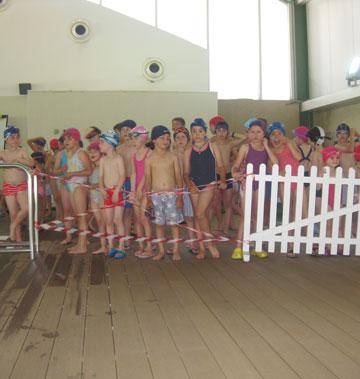 Premios de natación