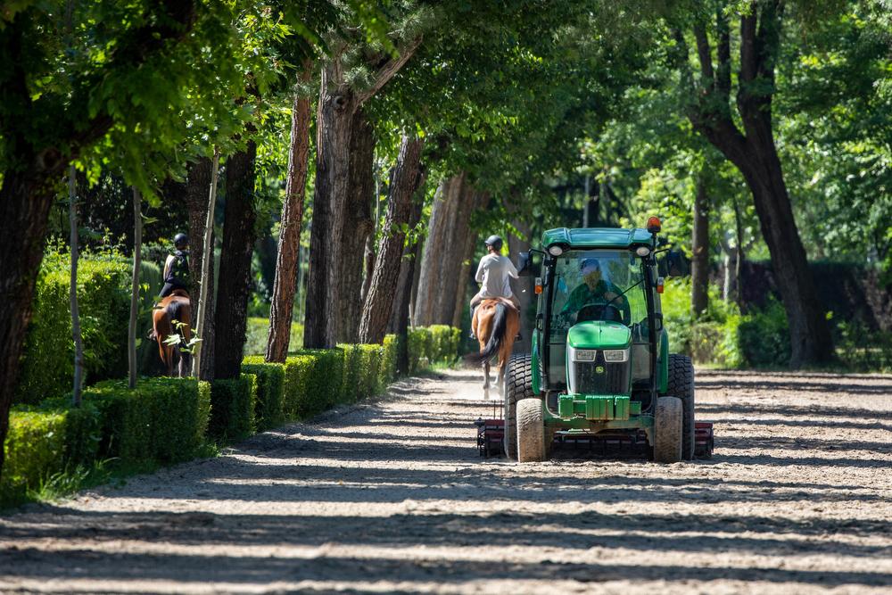 Rastrillado de la pista de galope del Club. Foto: Miguel Ros