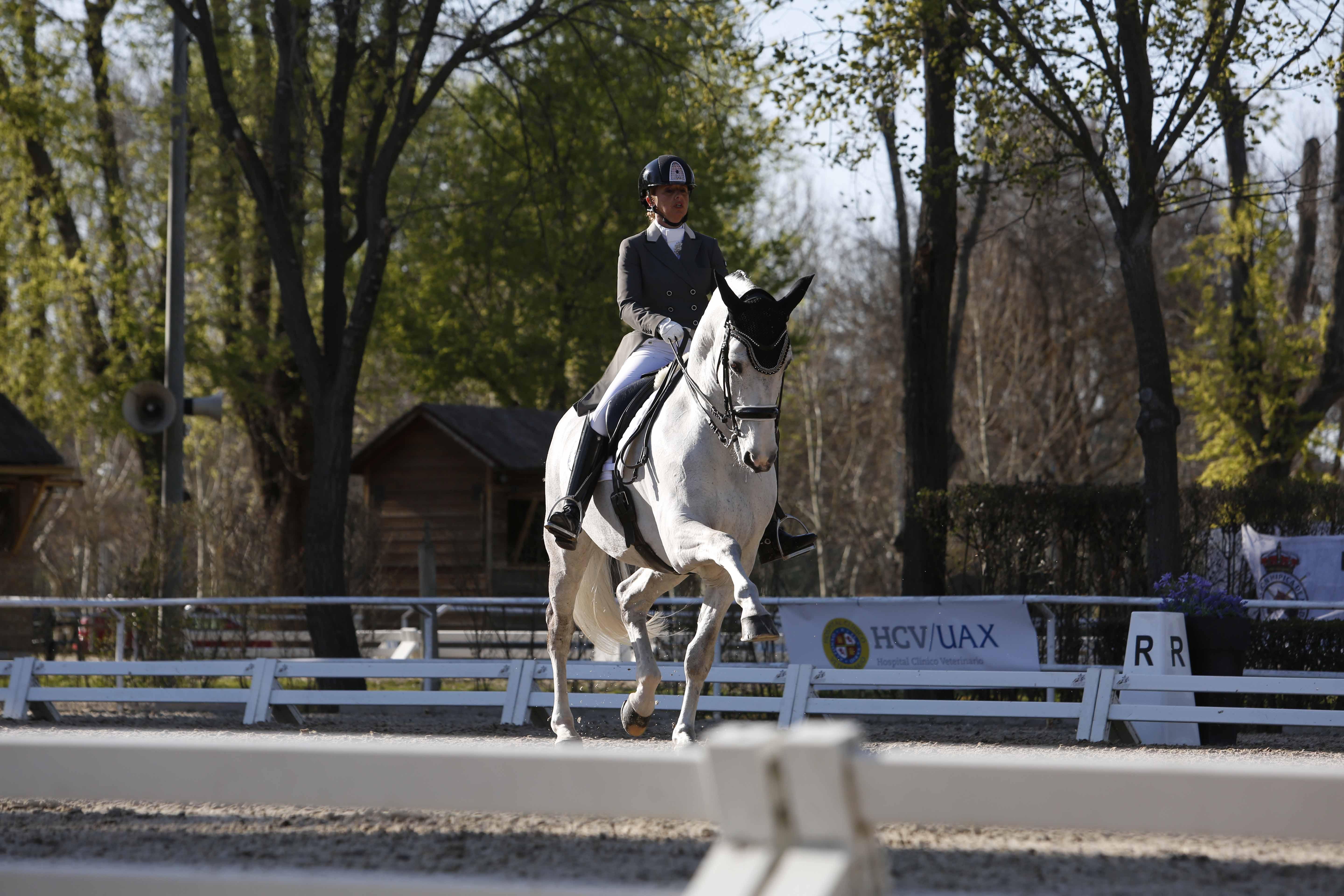 CDI 3*-Copa de S.M. El Rey de Doma Clásica 2019. Fotos: Ángel Yuste y Miguel Ros