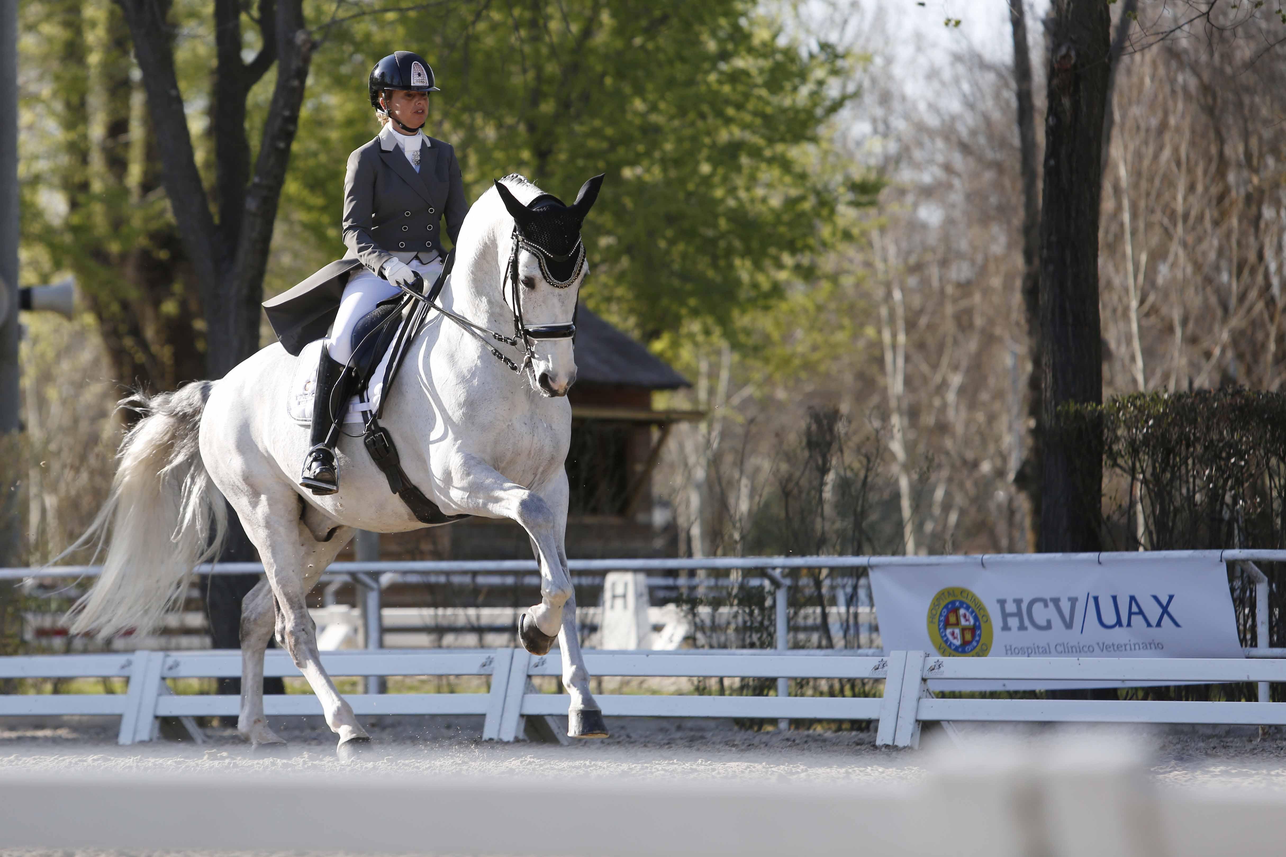 CDI 3*-Copa de S.M. El Rey de Doma Clásica 2019. Fotos: Ángel Yuste y Miguel Ros