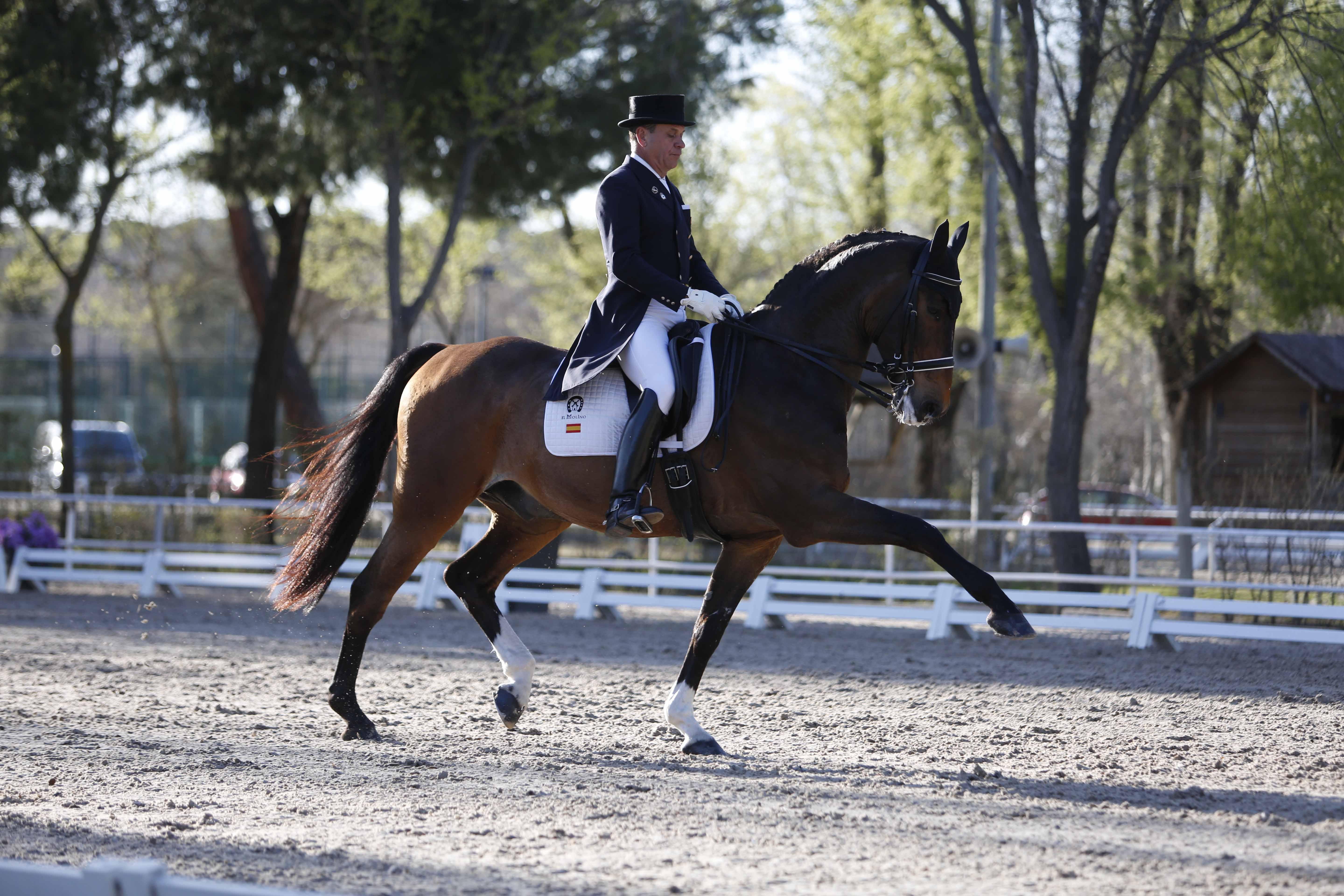 CDI 3*-Copa de S.M. El Rey de Doma Clásica 2019. Fotos: Ángel Yuste y Miguel Ros