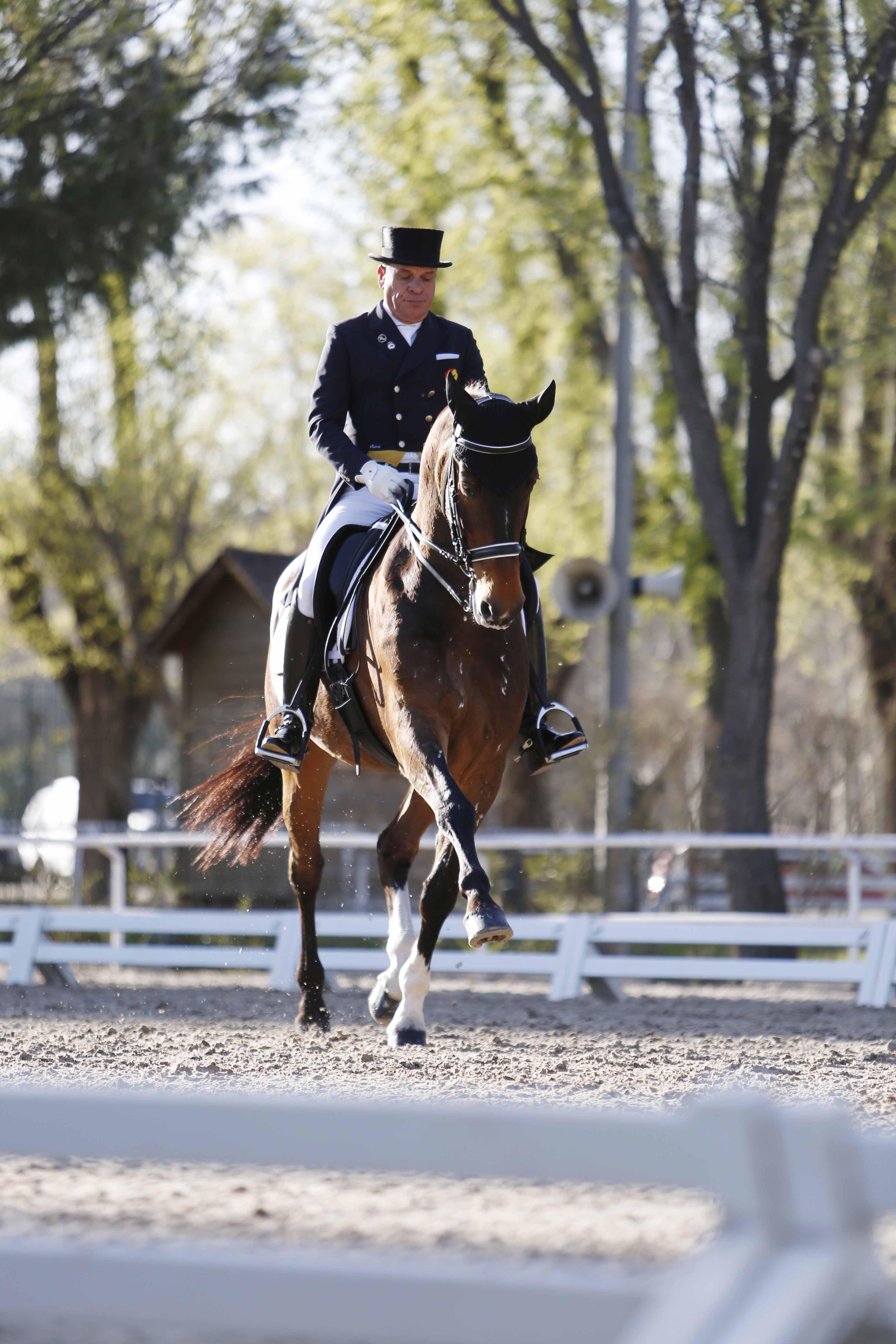 CDI 3*-Copa de S.M. El Rey de Doma Clásica 2019. Fotos: Ángel Yuste y Miguel Ros