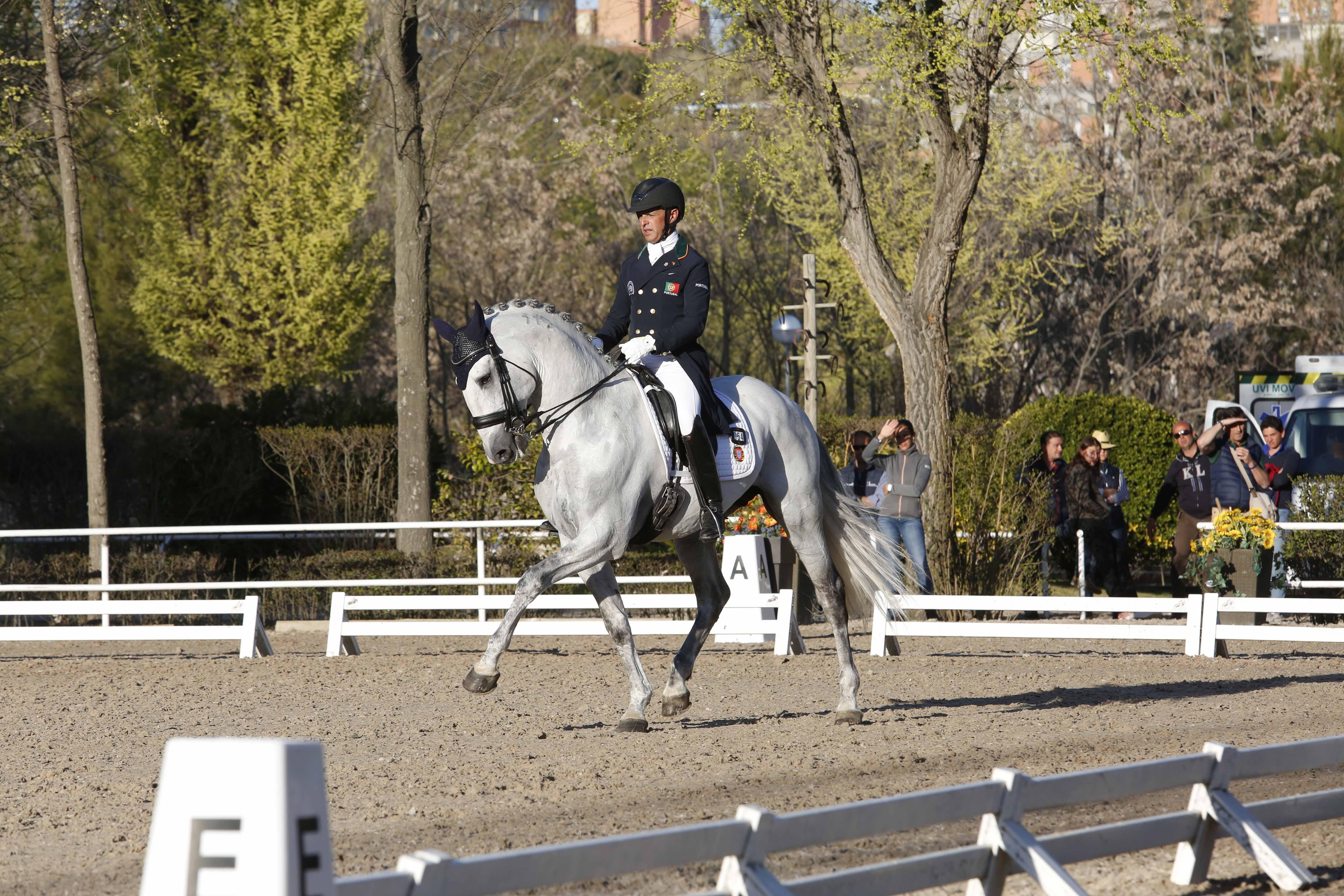 CDI 3*-Copa de S.M. El Rey de Doma Clásica 2019. Fotos: Ángel Yuste y Miguel Ros