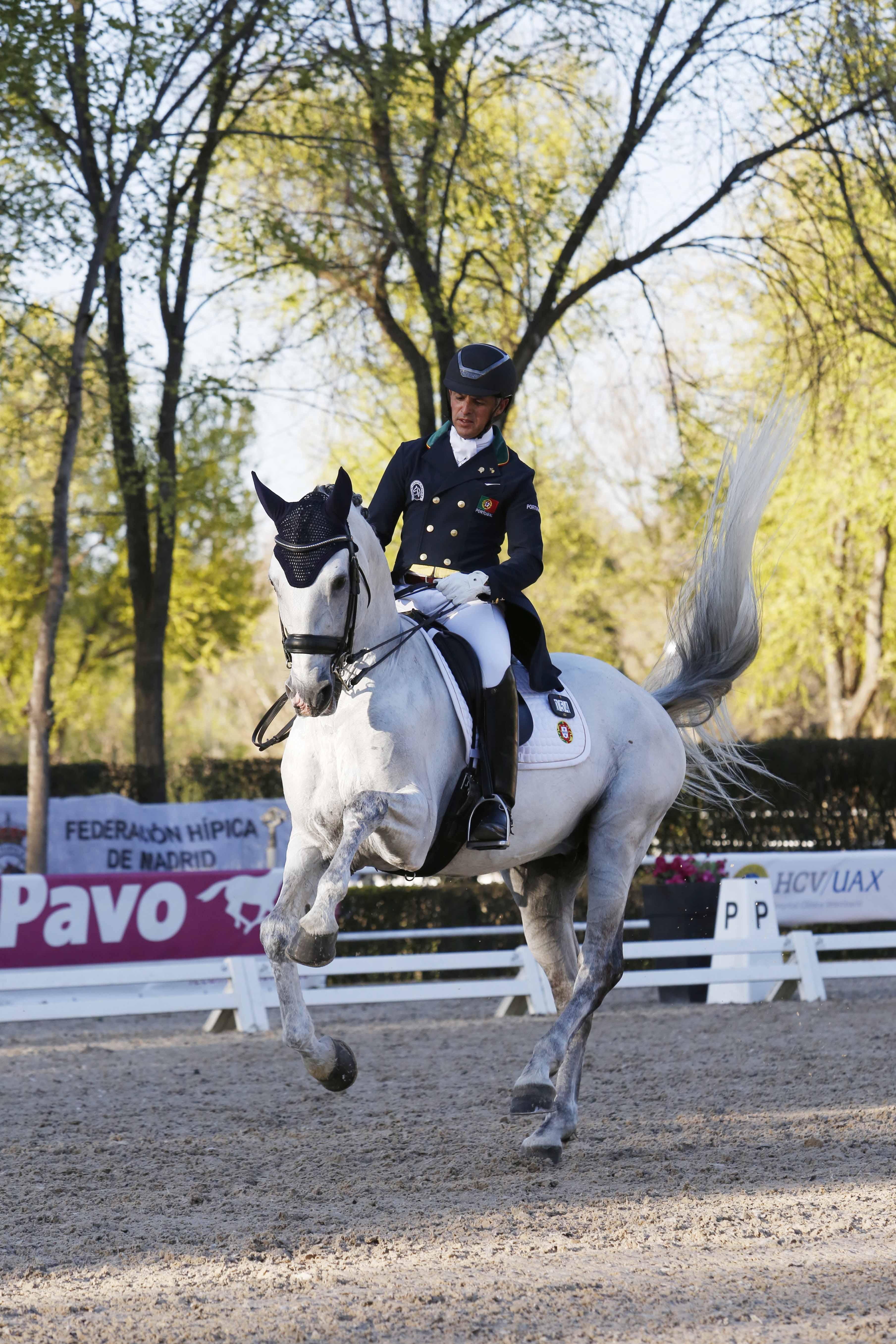 CDI 3*-Copa de S.M. El Rey de Doma Clásica 2019. Fotos: Ángel Yuste y Miguel Ros