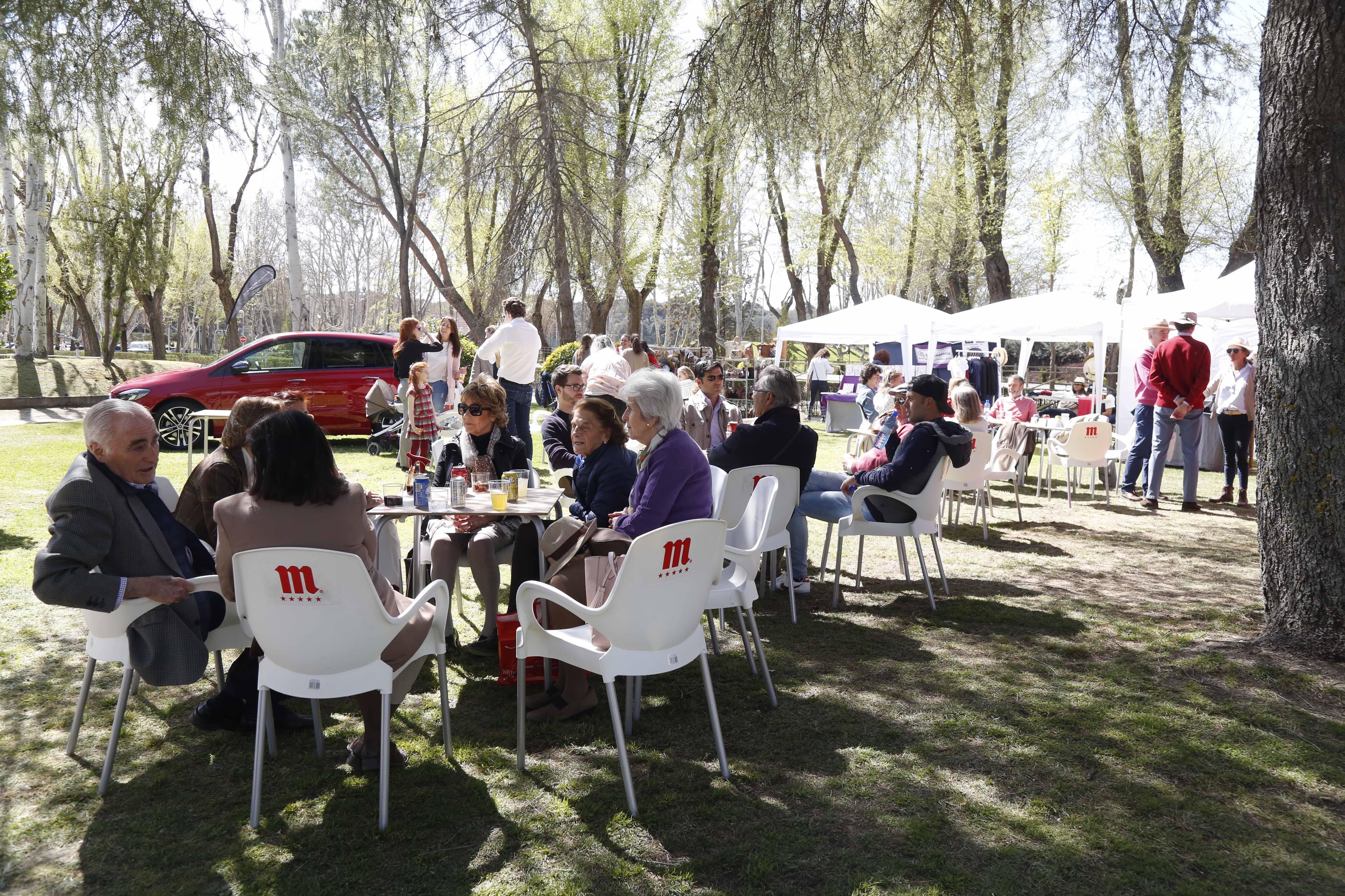 CDI 3*-Copa de S.M. El Rey de Doma Clásica 2019. Fotos: Ángel Yuste y Miguel Ros