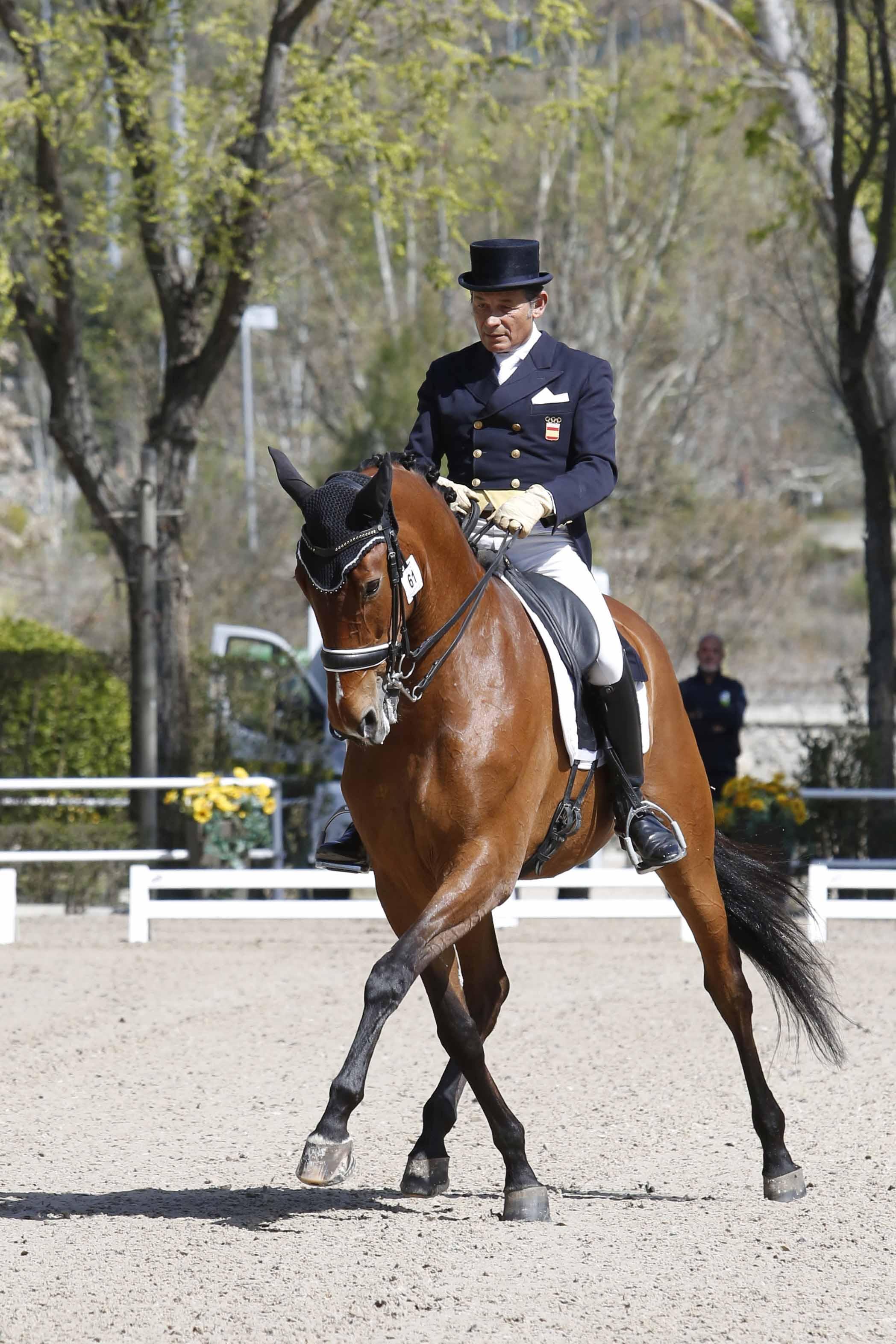 CDI 3*-Copa de S.M. El Rey de Doma Clásica 2019. Fotos: Ángel Yuste y Miguel Ros