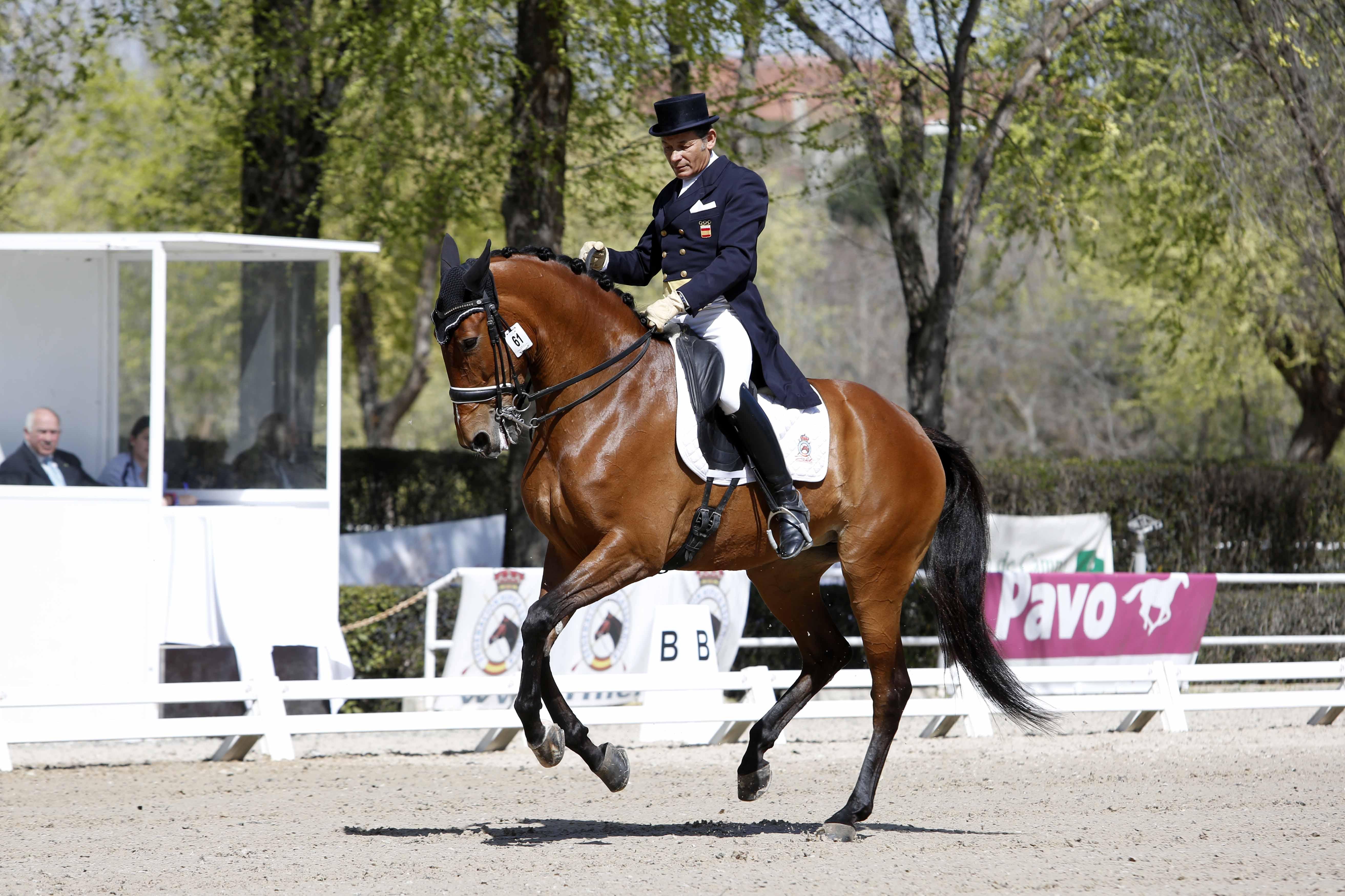 CDI 3*-Copa de S.M. El Rey de Doma Clásica 2019. Fotos: Ángel Yuste y Miguel Ros