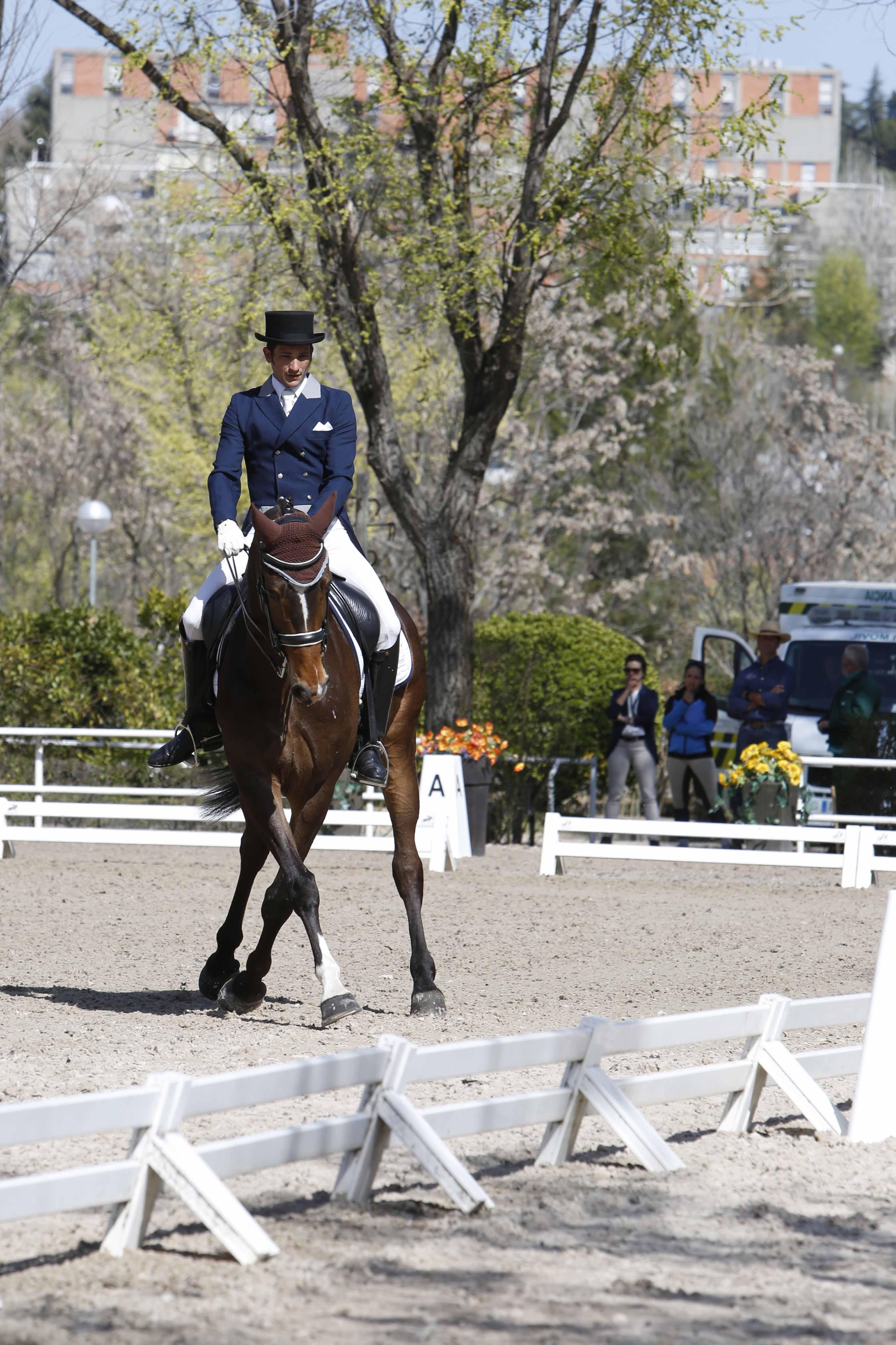CDI 3*-Copa de S.M. El Rey de Doma Clásica 2019. Fotos: Ángel Yuste y Miguel Ros