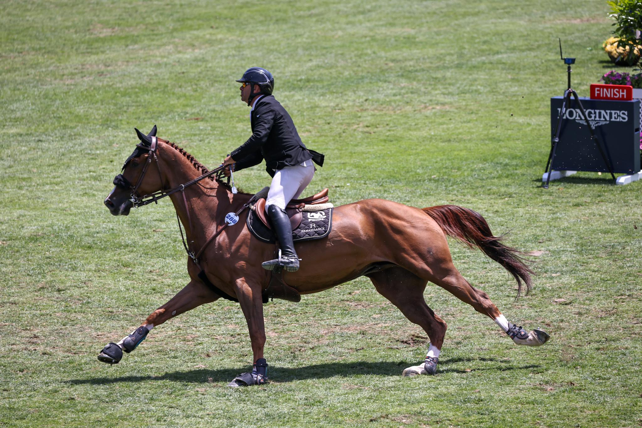 Jinete y caballo realizan un giro.