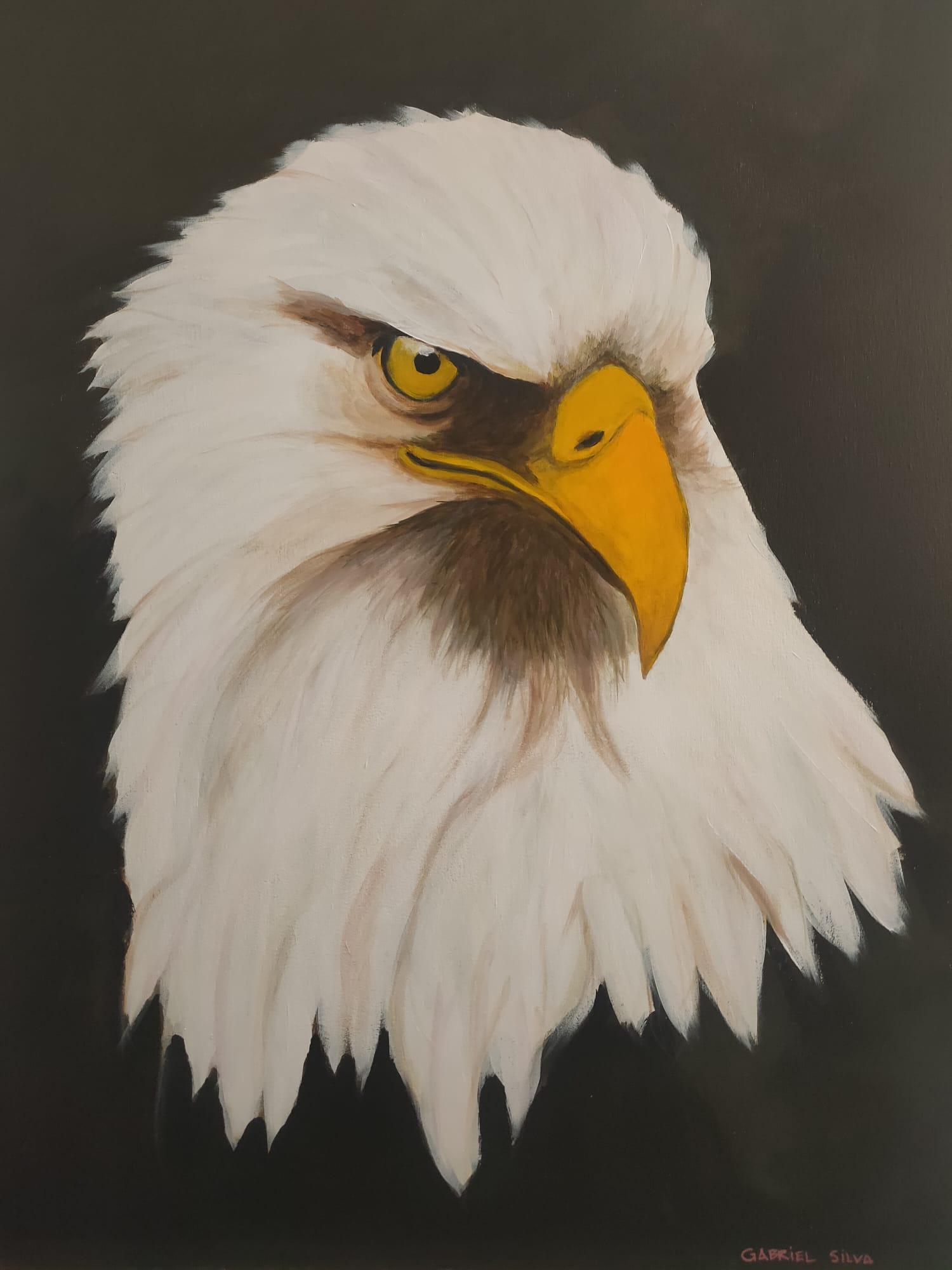 “Aguila”, Gabriel Silva Castañón. 50x70cm. Acrílico sobre lienzo.
