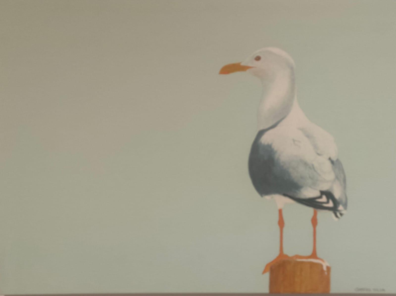 “Gaviota”, Gabriel Silva Castañón. 50x60 cm. Acrílico sobre lienzo.