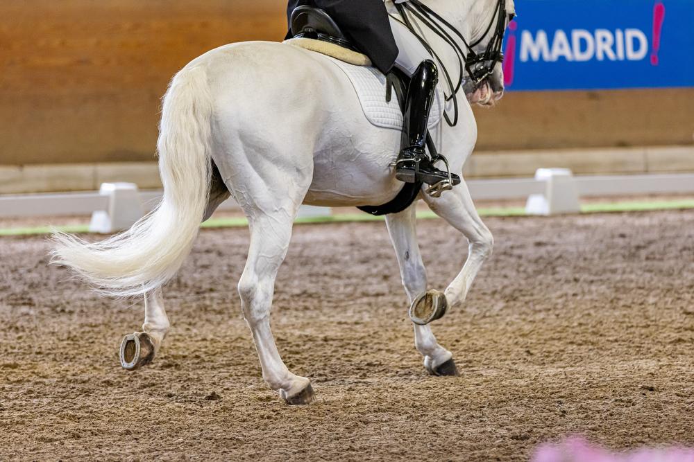 Hípica, en el Real Club de Campo Villa de Madrid. Foto: Miguel Ángel Ros / CCVM