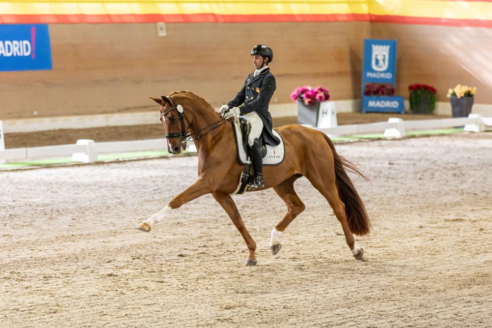 Un binomio, durante una prueba de doma clásica en el Real Club de Campo Villa de Madrid. Foto: Miguel Ángel Ros / RCCVM