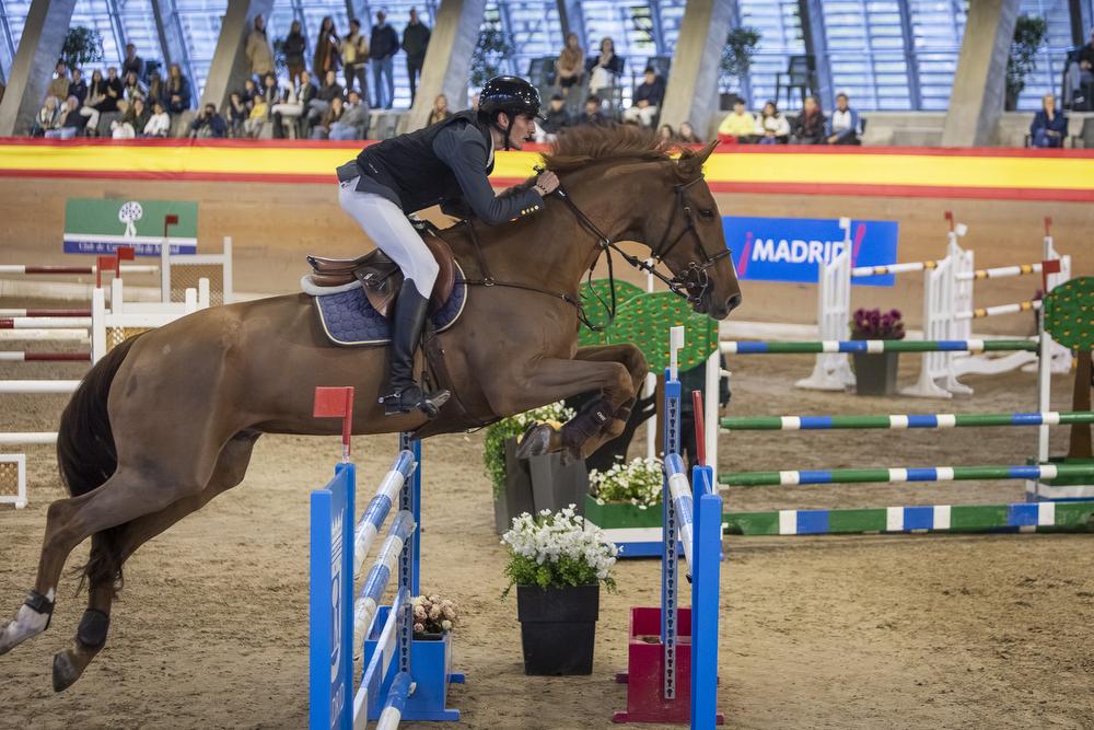 Imagen lateral de una amazona y un caballo.