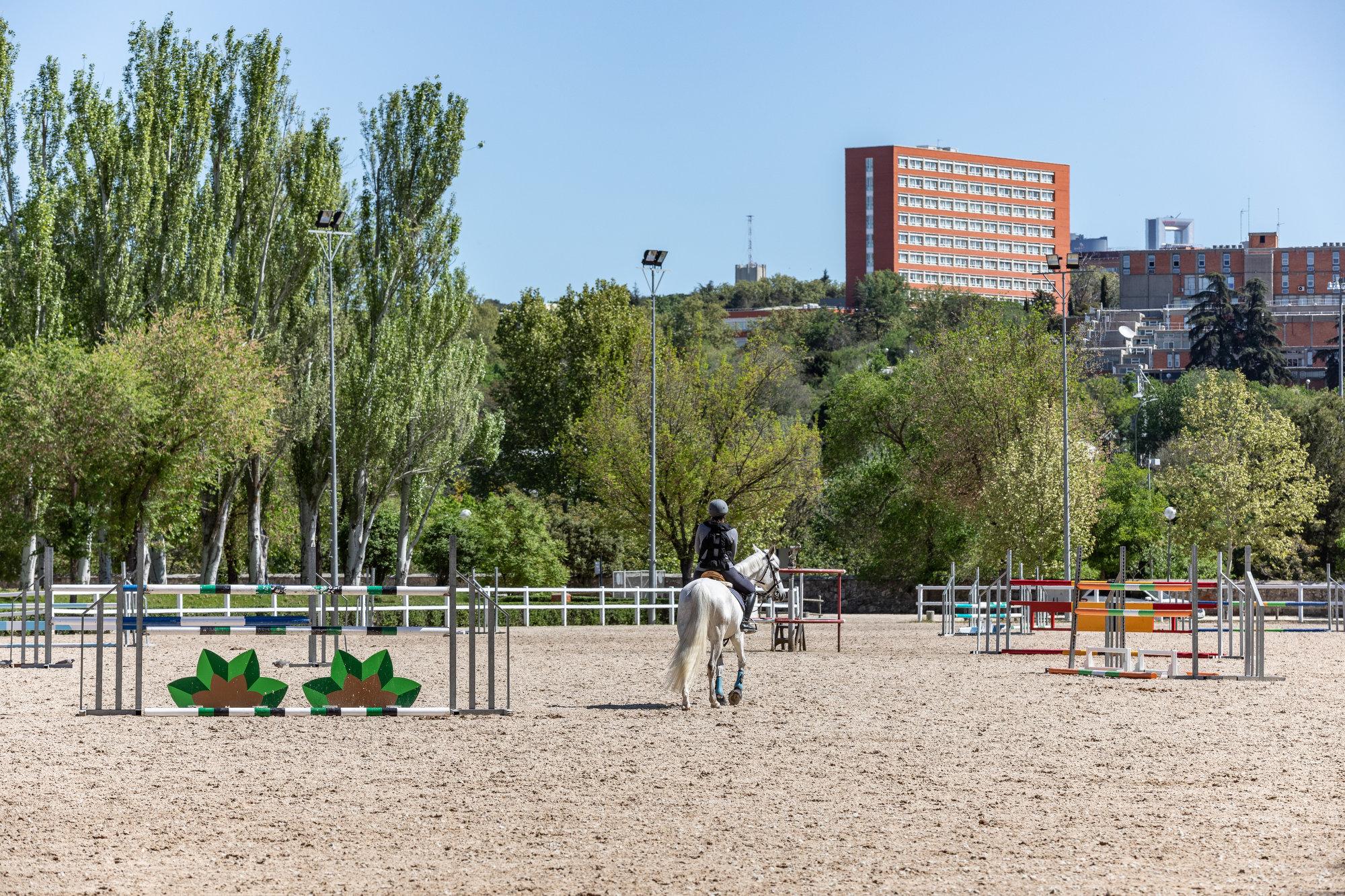 Hípica, en el Real Club de Campo Villa de Madrid. Foto: Miguel Ángel Ros / CCVM