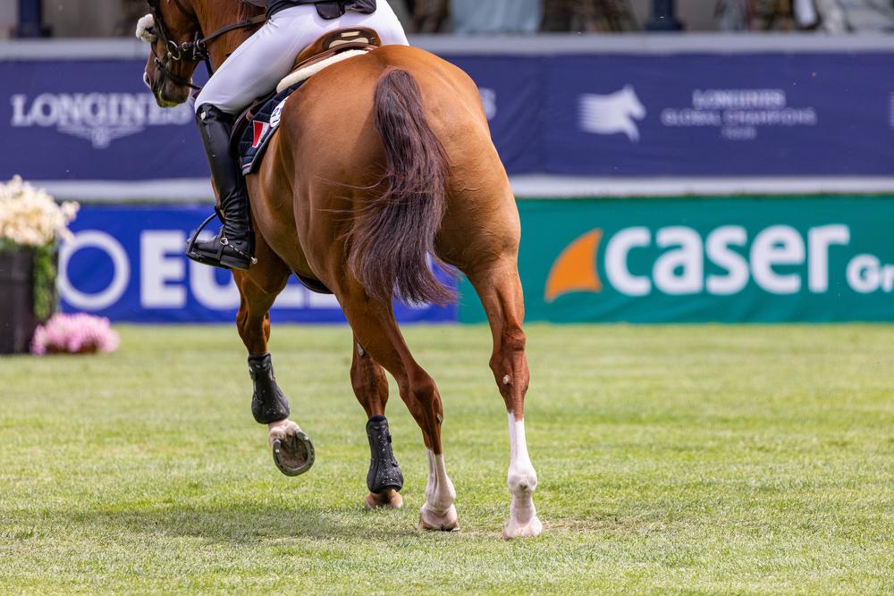 Detalle de las patas de un caballo durante una competición en la Pista Verde del Club.