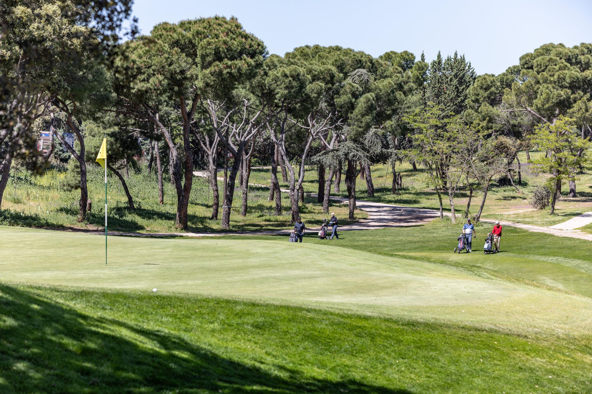Hoyo 11 del Recorrido Negro del Real Club de Campo Villa de Madrid. Foto: Miguel Ángel Ros / RCCVM