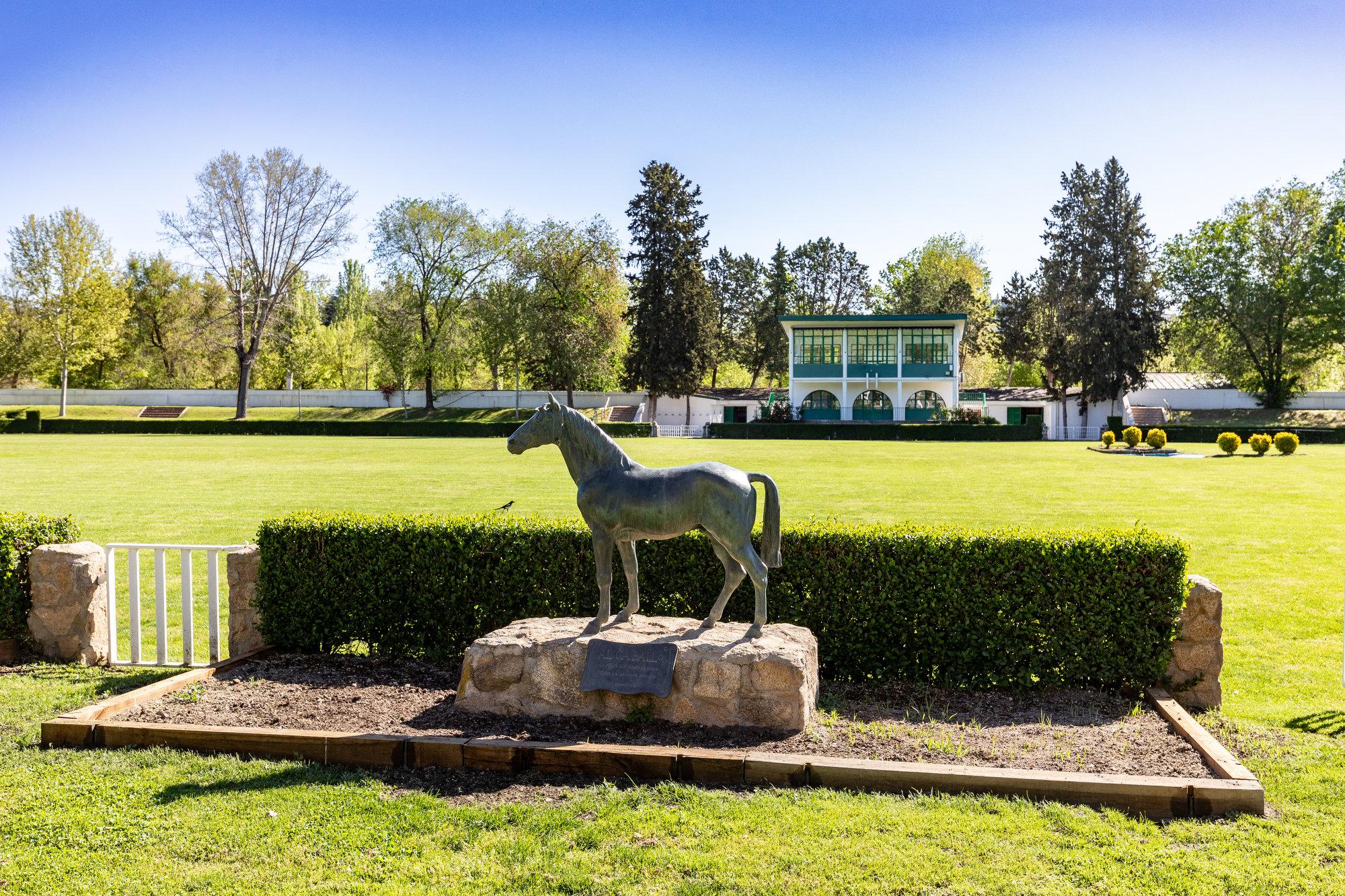 Estatua de un caballo que preside la Pista Verde del Real Club de Campo Villa de Madrid. Foto: Miguel Ángel Ros / RCCVM