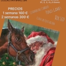 Cartel del campamento de Navidad de equitación.